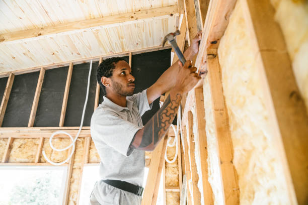 Best Attic Insulation Installation  in Canton, NC