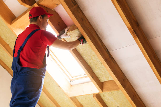 Best Garage Insulation  in Canton, NC